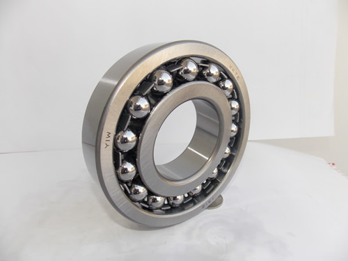 Fashion 1315 Bearing